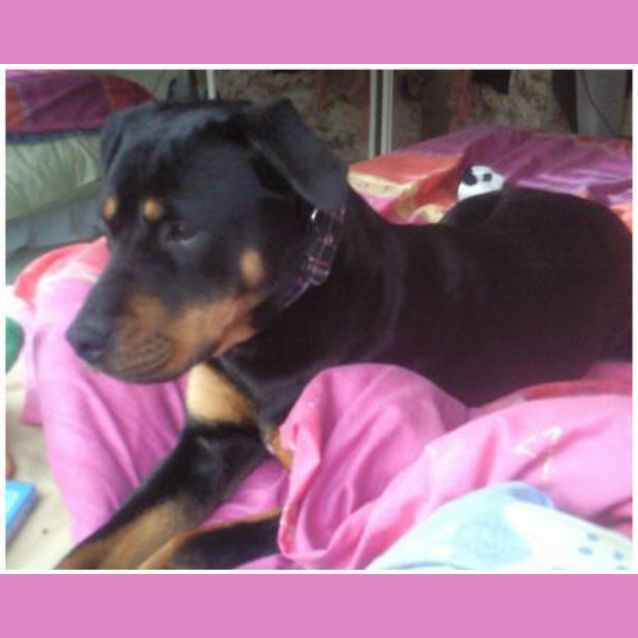 Photo of Lucy