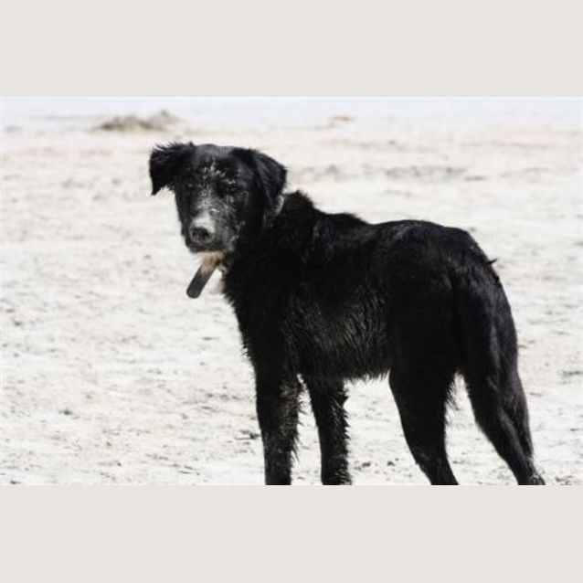 Photo of Noble