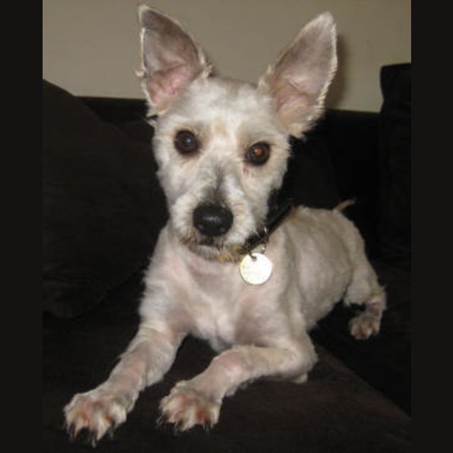 Photo of Frodo