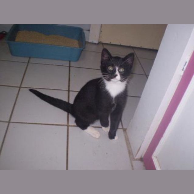 Photo of Boots