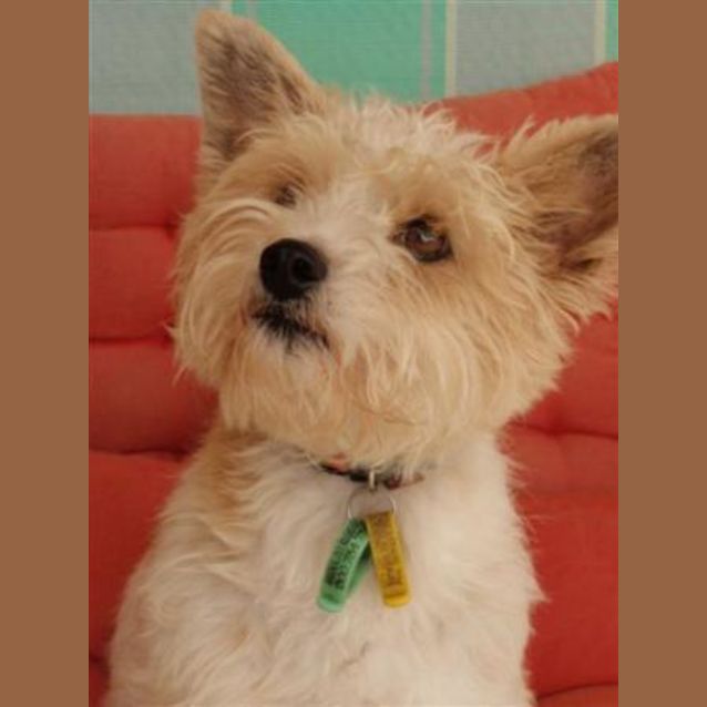 Photo of Bella