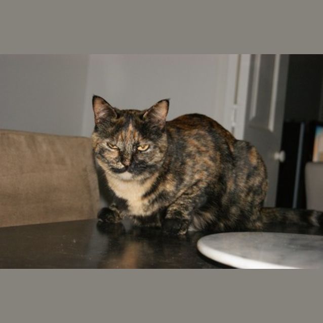 Photo of Gemma