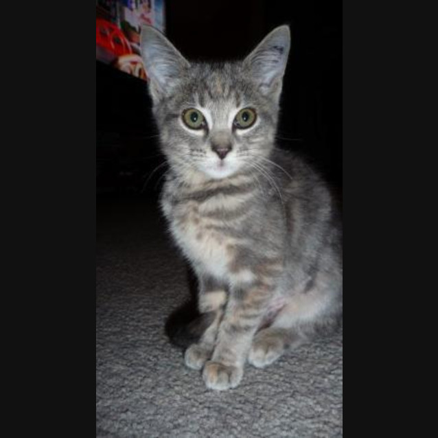 Photo of Macey