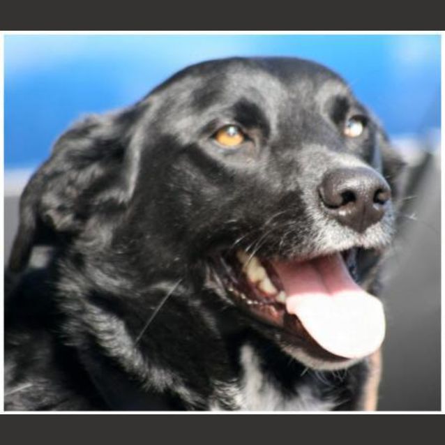 Photo of Floyd