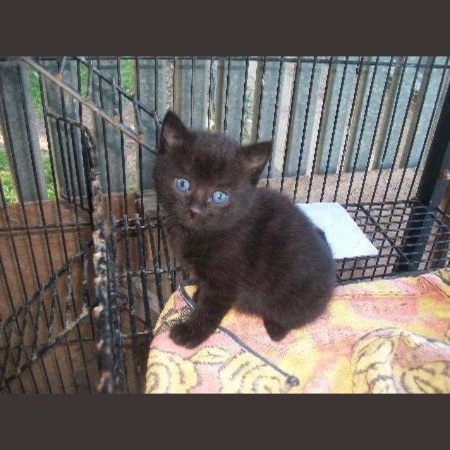 Photo of Jet