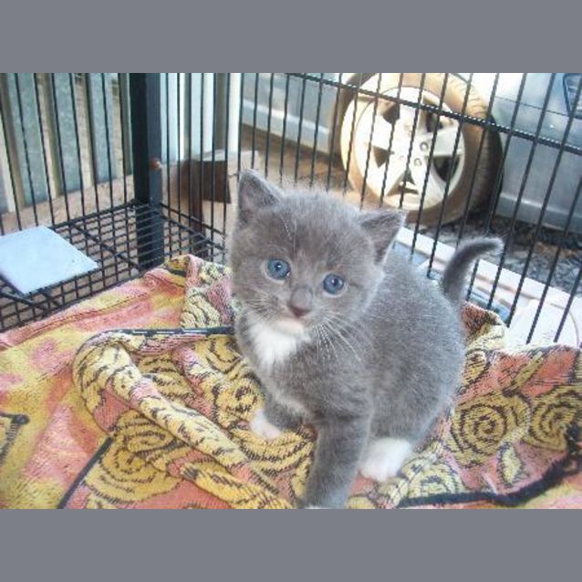 Photo of Nimbus