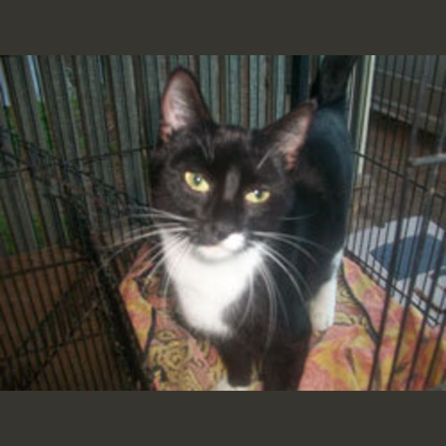 Photo of Pheobe