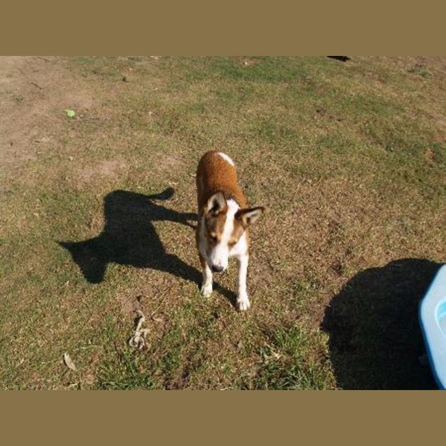 Photo of Ruby