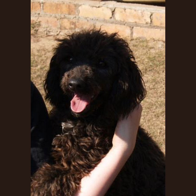Photo of Lilly