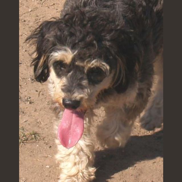 Photo of Lulu