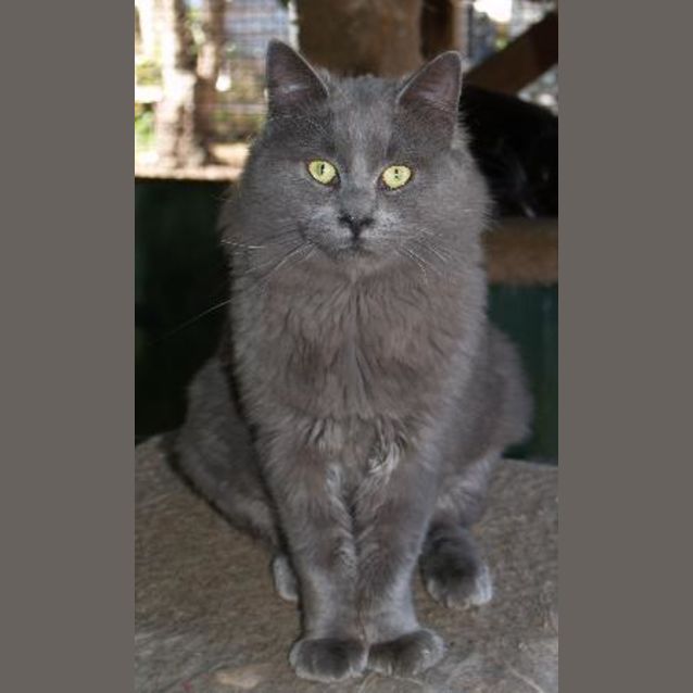 Photo of Quilliam