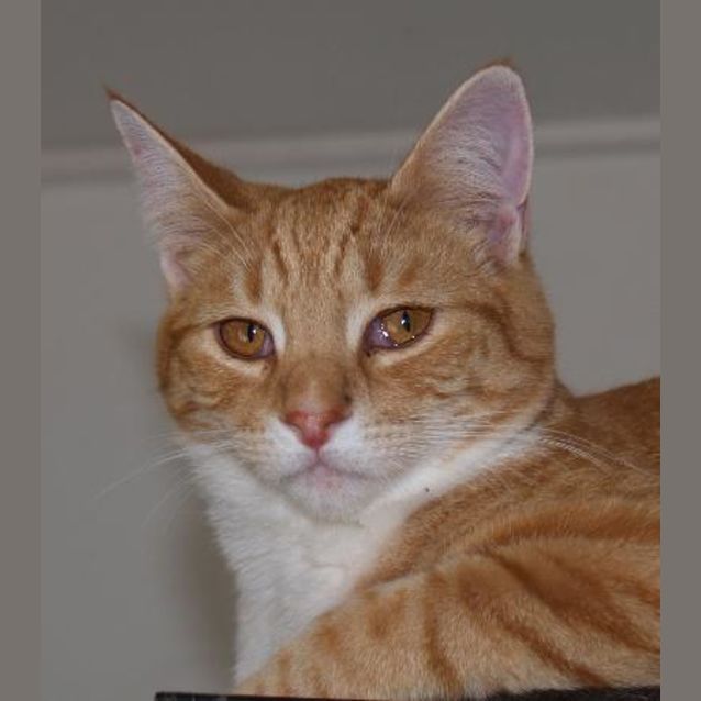 Photo of Garth