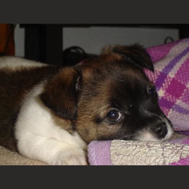 Photo of Jack