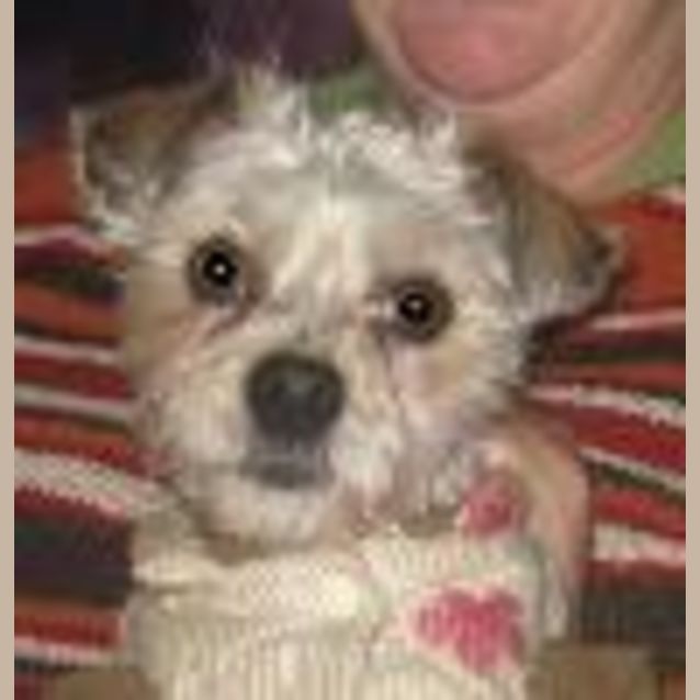 Photo of Eliza Doolittle