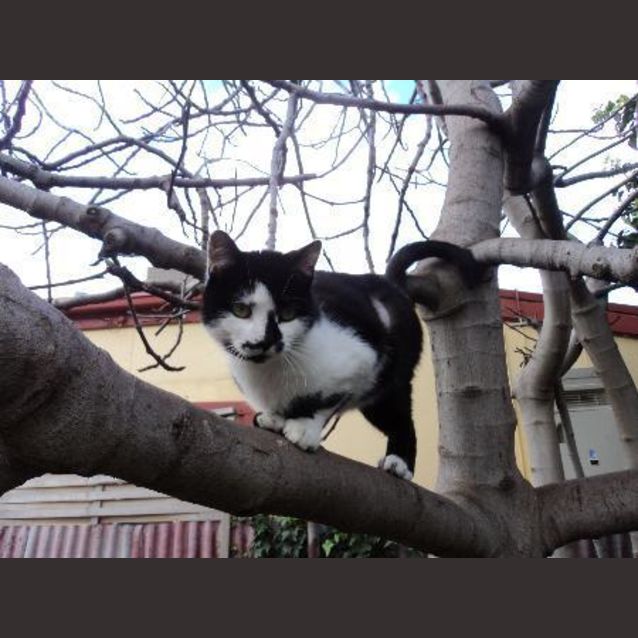 Photo of Rescue