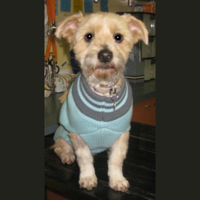 Photo of Teddy