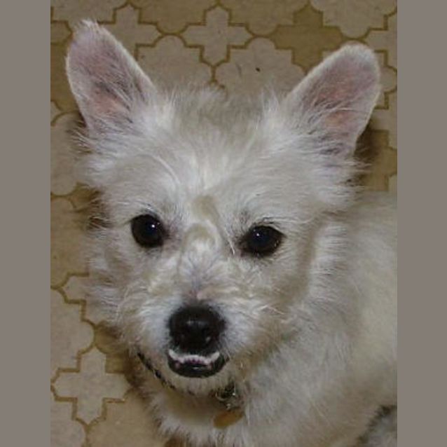 Photo of Little Jack