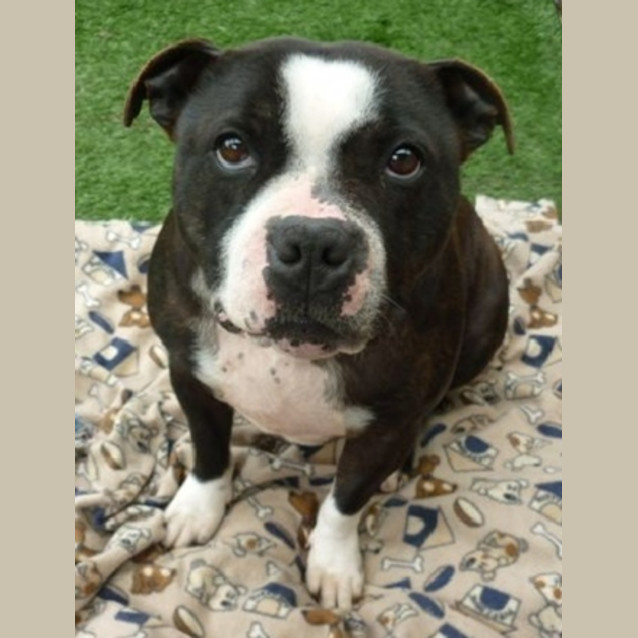 Photo of Zeus