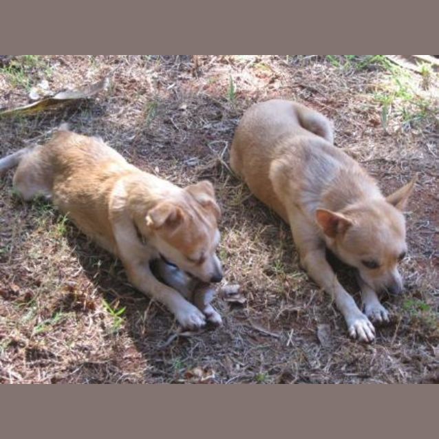Photo of Bangle And Nuts
