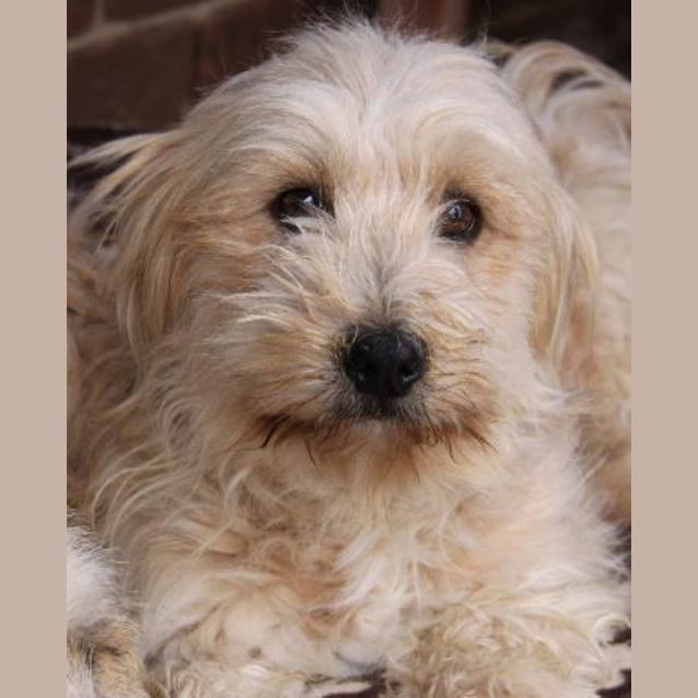 Photo of Abbie