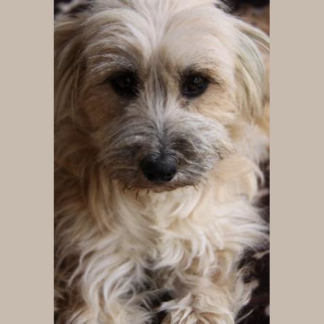 Photo of Sophie