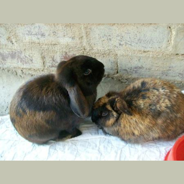 Photo of Zack And Kelly