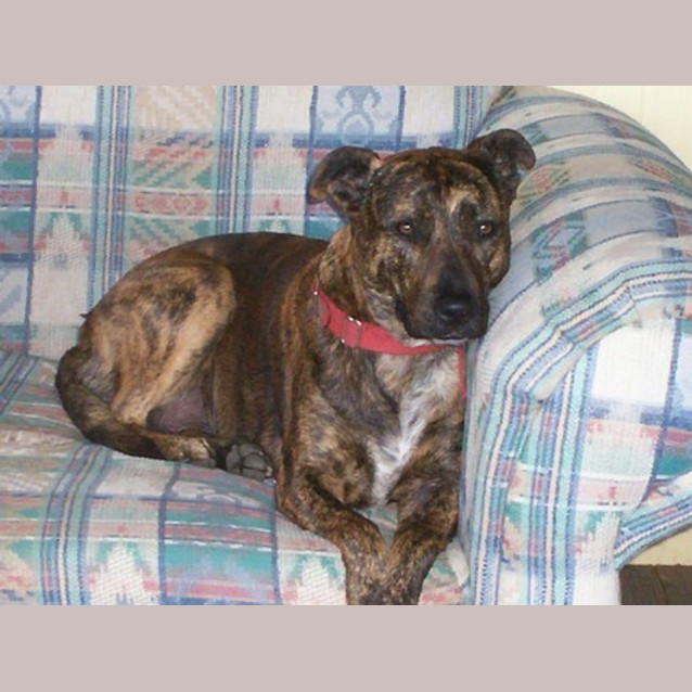 Photo of Snuggle Pot