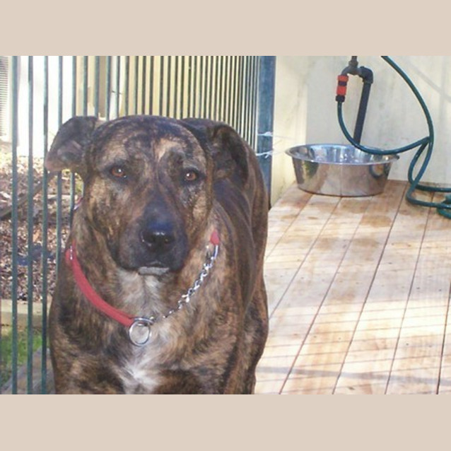 Photo of Snuggle Pot