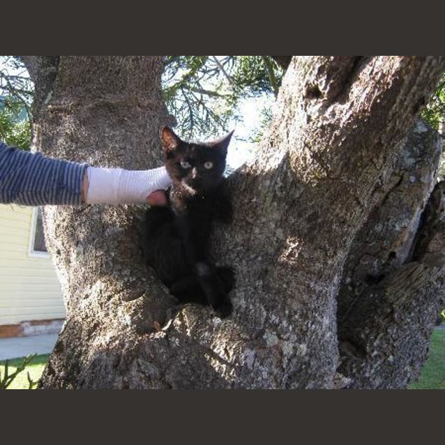 Photo of Sootty