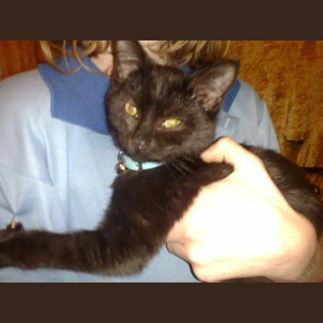 Photo of Choko