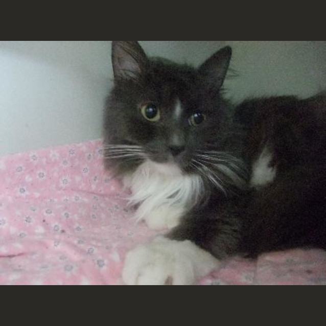 Photo of C7929
