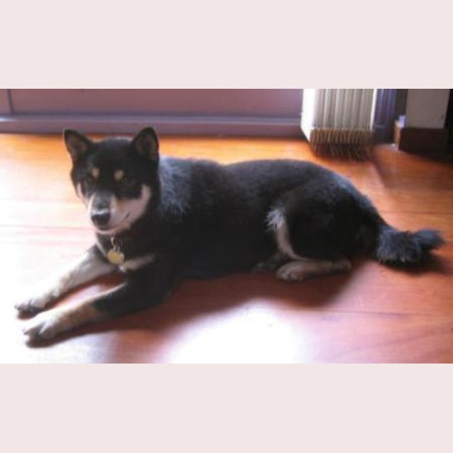 Photo of Tana And Jun Are Trying A New Home Together!