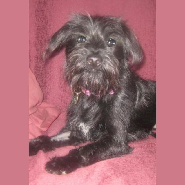 Photo of Maeve