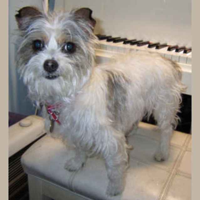 Photo of Tinkerbelle