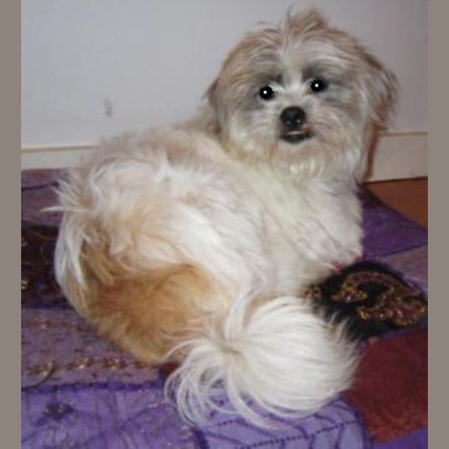 Photo of Hunter