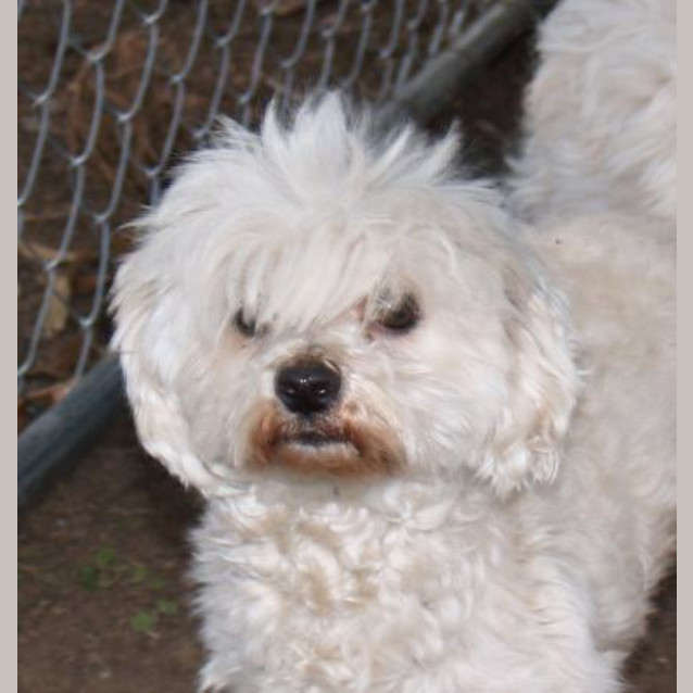 Photo of Molly