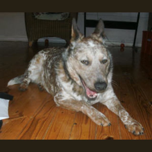 Photo of Shelley Is Trying A New Home!!