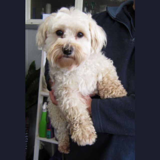 Photo of Leroy