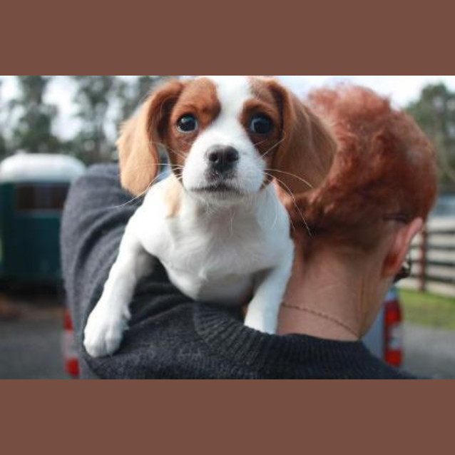 Photo of Delilah
