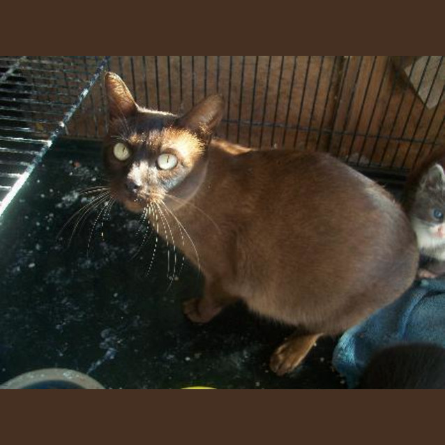 Photo of Ella