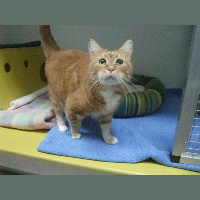 Photo of C7923 Petra