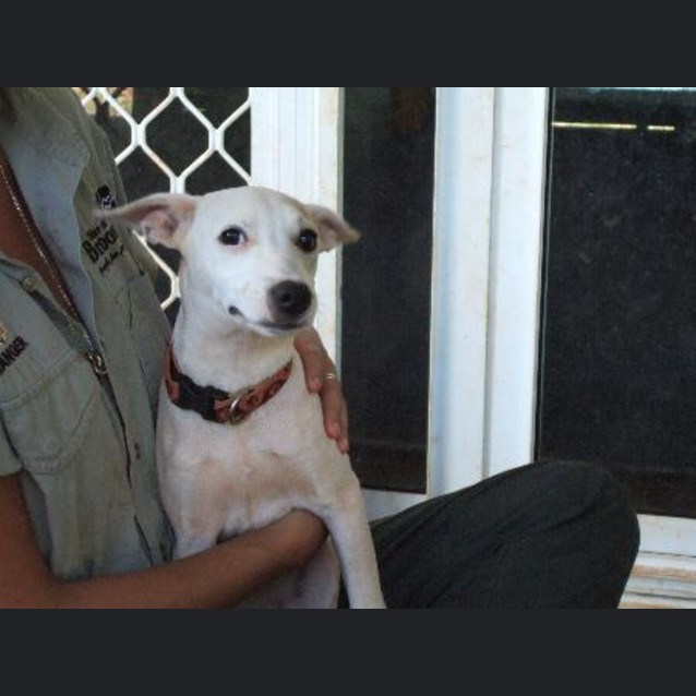 Photo of Shiloh