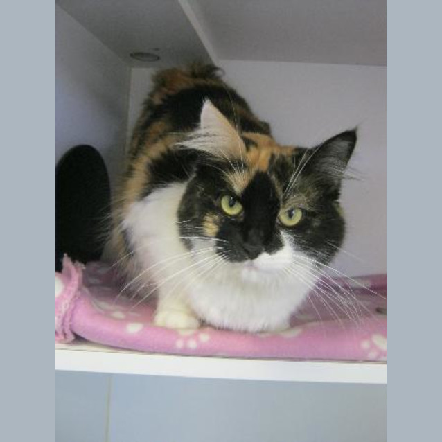 Photo of Jacinta