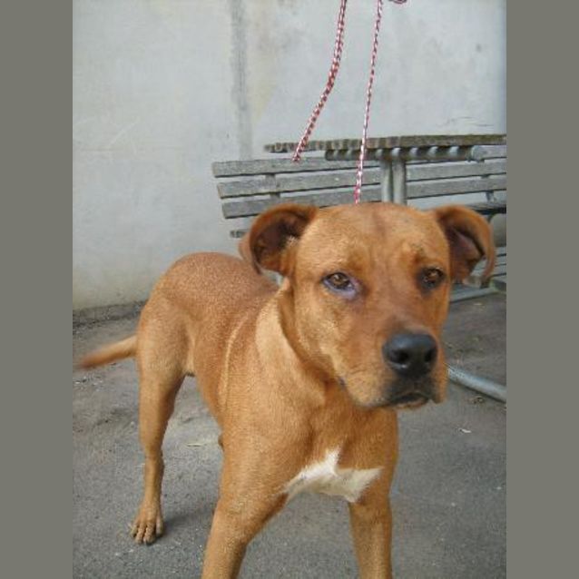 Photo of Oakley