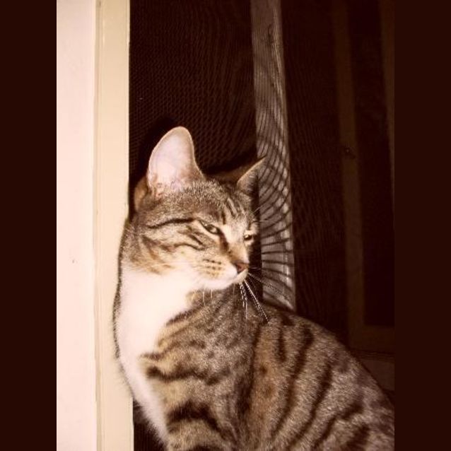 Photo of Rosie