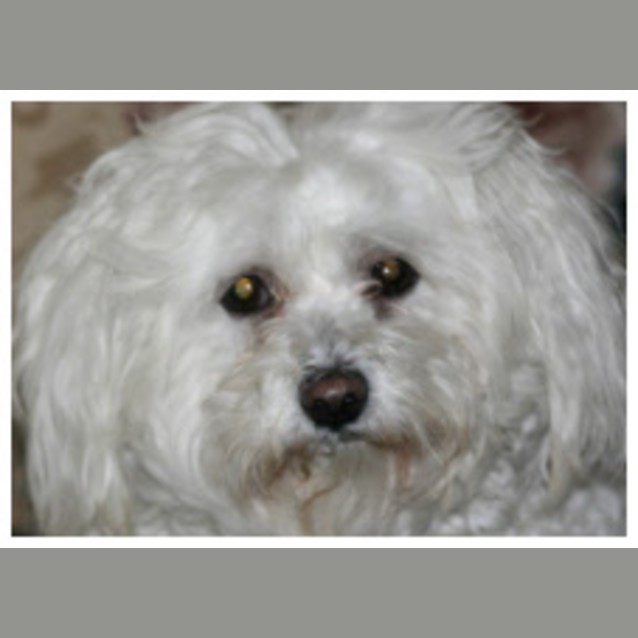 Photo of Coby