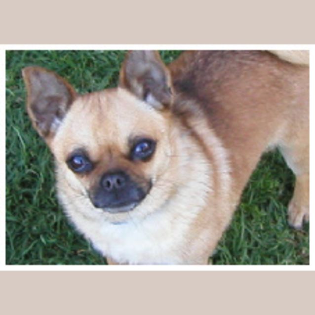 Photo of Maggie