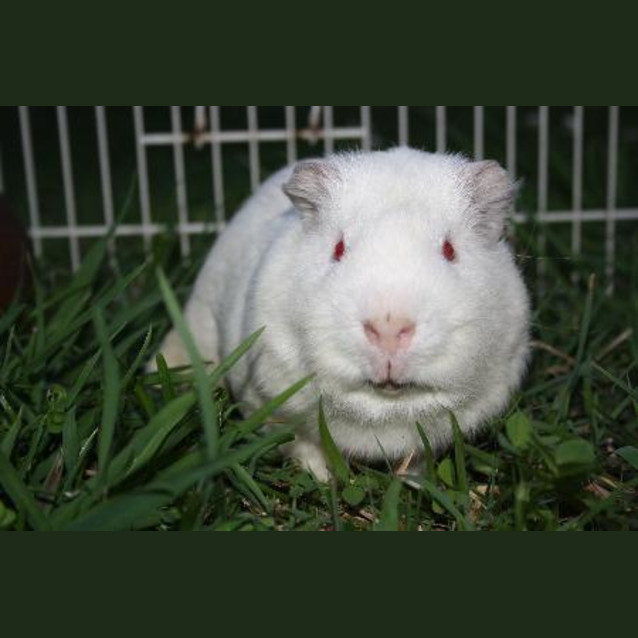 Photo of Jacob