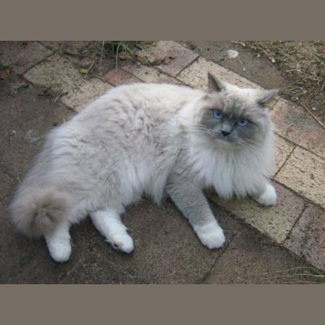 Photo of Milly