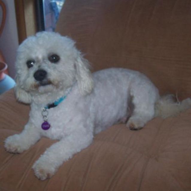 Photo of Sunny